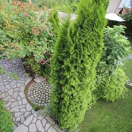 게스트하우스 джая *